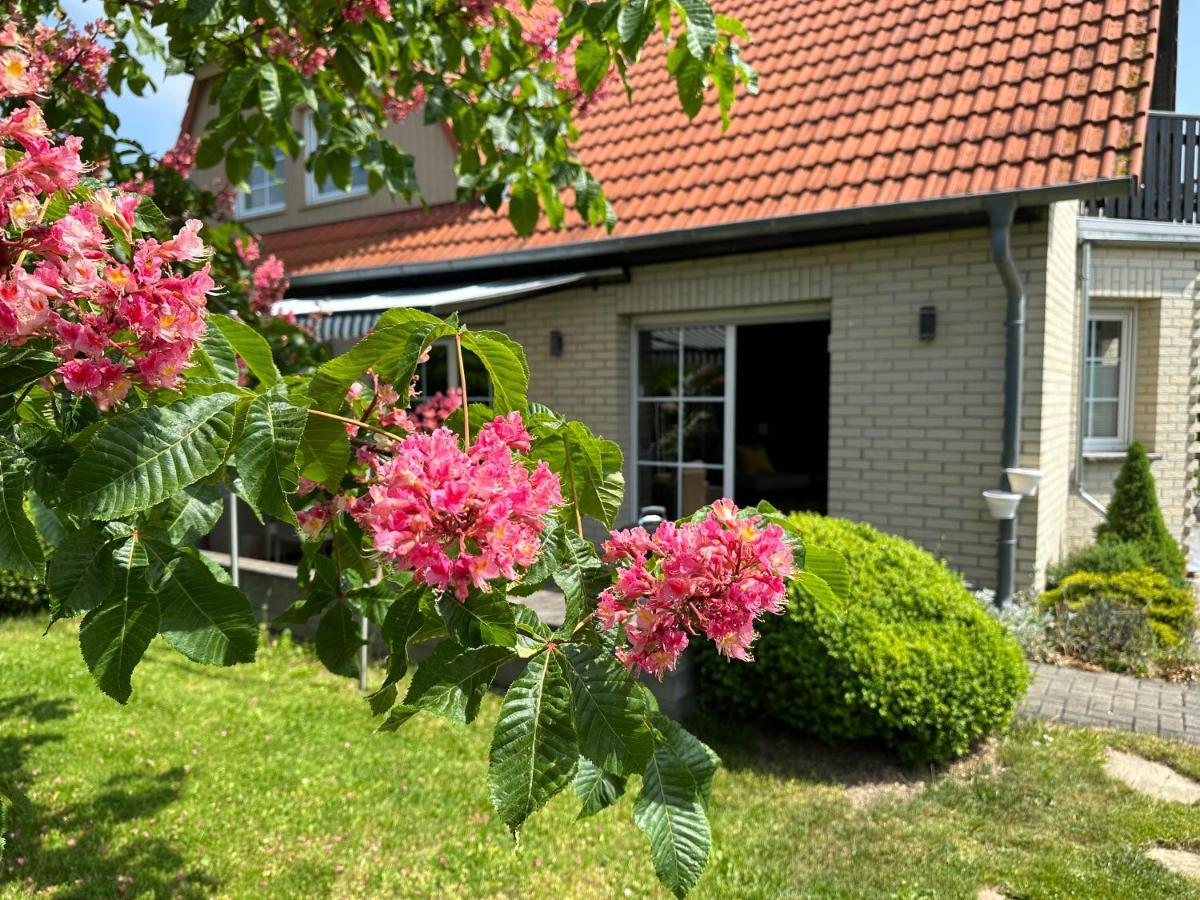 Ferienwohnung Familienurlaub Im Gruenen Wernigerode Exterior foto