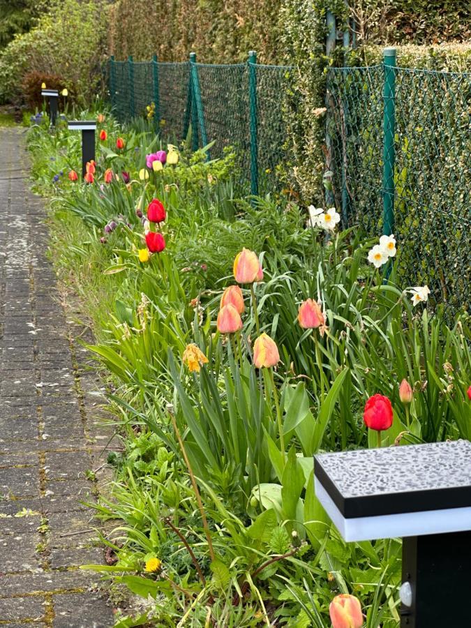 Ferienwohnung Familienurlaub Im Gruenen Wernigerode Exterior foto